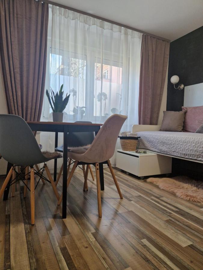 Friz&Fany Daire Postojna Dış mekan fotoğraf